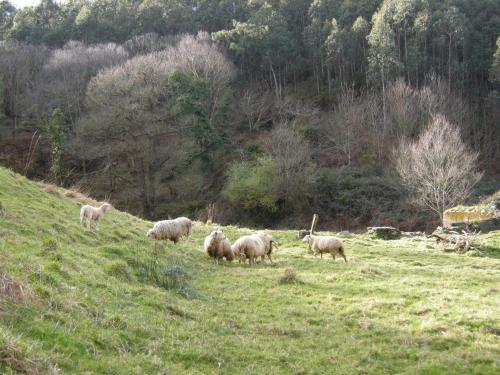 Hotel Finca Portizuelo