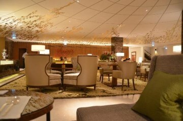 Hotel The Ritz-carlton Vienna