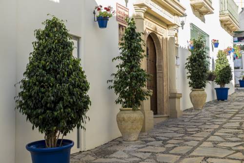 Apartamentos Tur�sticos Casa De La Borrega