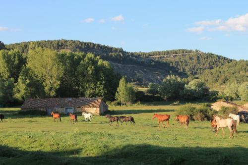 Casa La Acacia