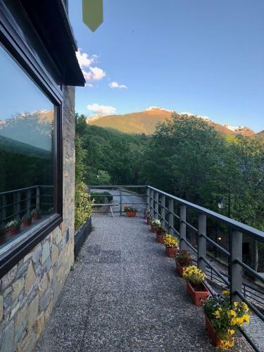 Alberg Taull
