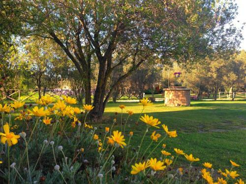 Agroturismo Agriturismo Li Scopi