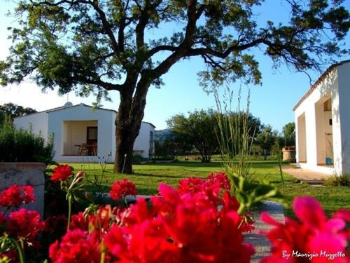 Agroturismo Agriturismo Li Scopi