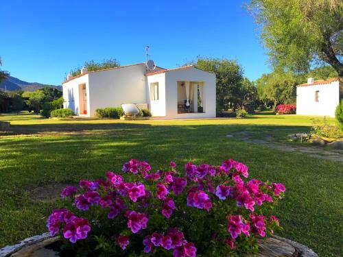 Agroturismo Agriturismo Li Scopi