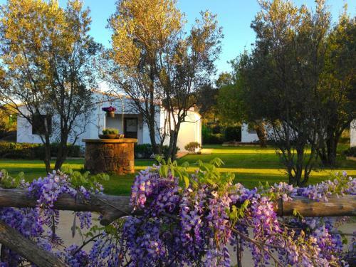 Agroturismo Agriturismo Li Scopi
