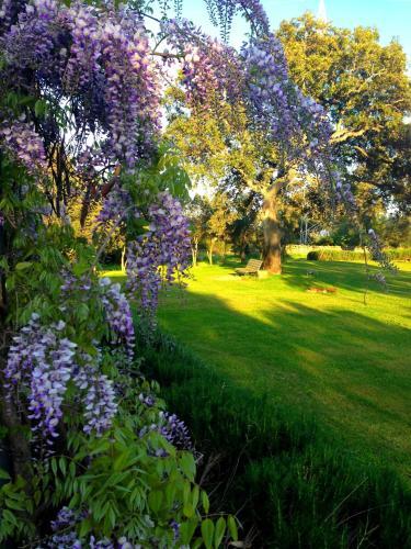 Agroturismo Agriturismo Li Scopi