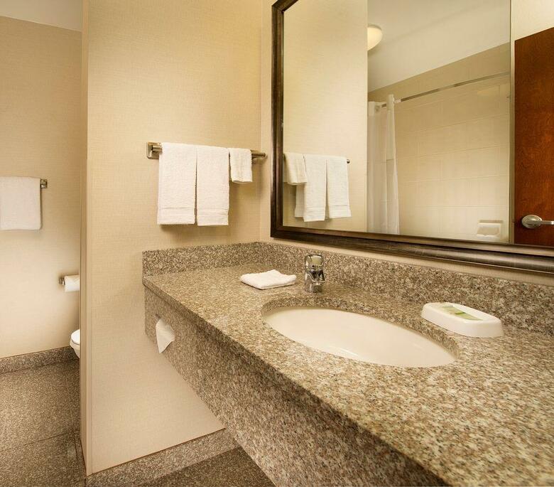 Hotel Drury Inn & Suites Orlando