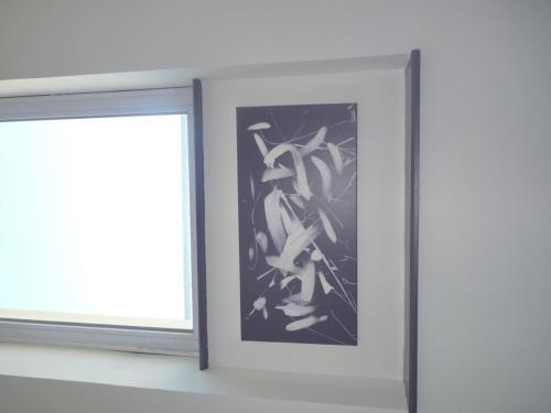 Apartamento R�sidence Albert Premier