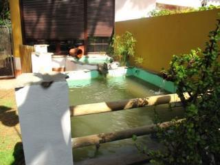 Hostal Vivienda Rural Los Pepe