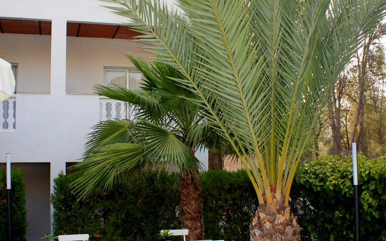 La Concha Soul Boutique Hotel
