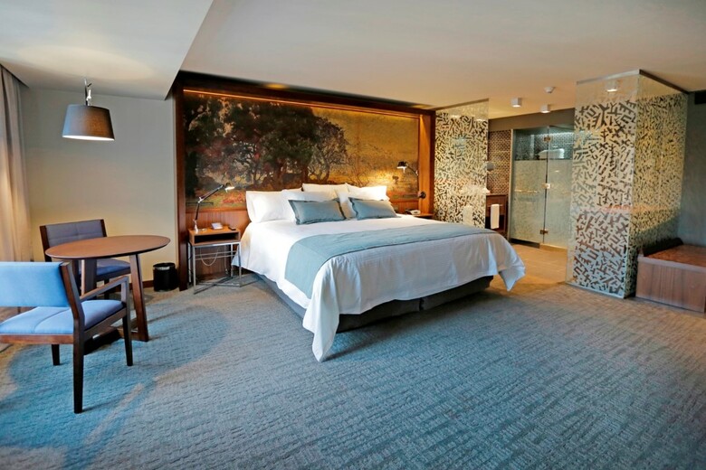 Hotel Cumbres Lastarria