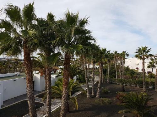 Aparthotel Palmeras Garden