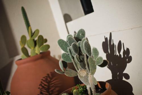Hostal La Morada Guest House