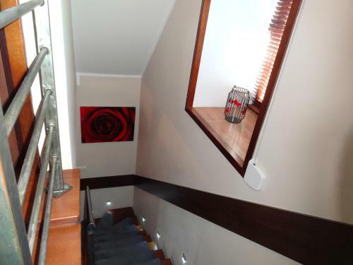 Apartament Amber