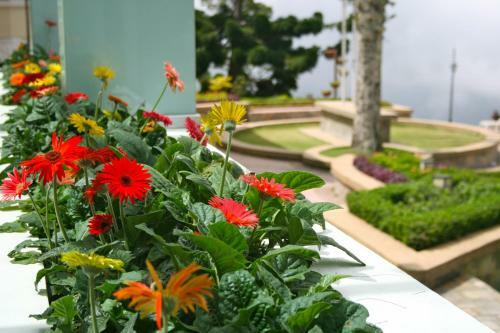 Hotel The Regency Jerai Hill Resort