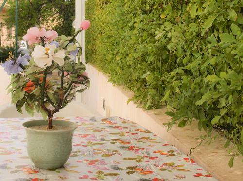 Casa Vacanze Mandorlo In Fiore