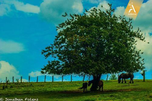 Agroturismo La Ferme D'a Yaaz