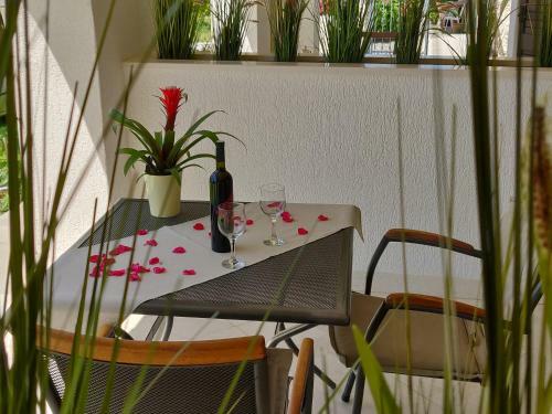 Apartamentos Guest House Burin