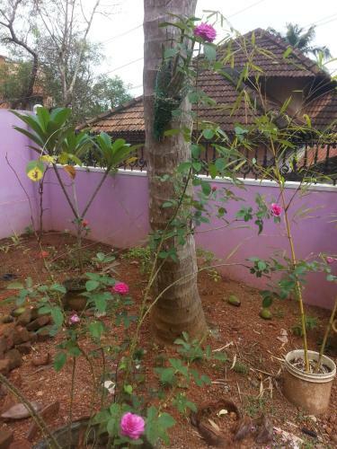 Aabhaa Homestay In Trivandrum