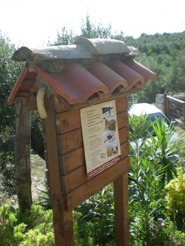 Bed & Breakfast Buenavistasurfmed