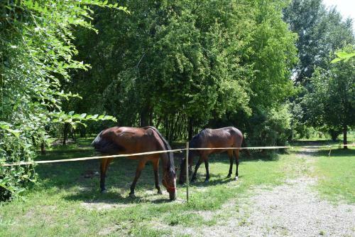 Agroturismo Agriturismo Tre Rondini