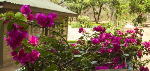 Hotel Woodlands Lilongwe