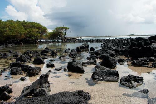Apartamento Chez Manany Galapagos Ecolodge
