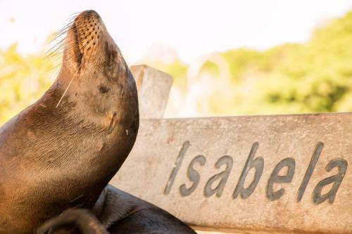 Apartamento Chez Manany Galapagos Ecolodge