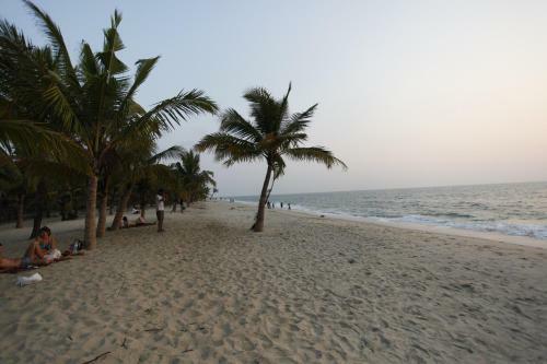 A Beach Symphony