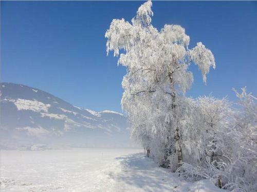 Apartamento Landhaus Tirol