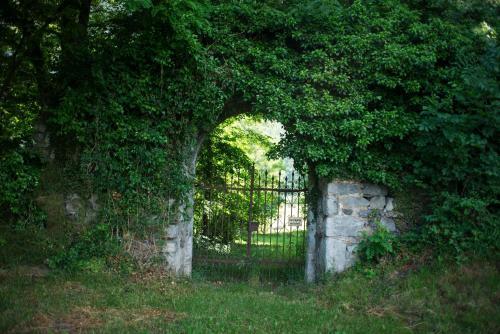 Bed & Breakfast Caf�-pension Margret