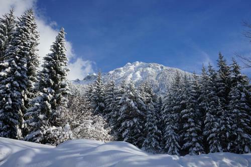 Naturhotel Alpenblick
