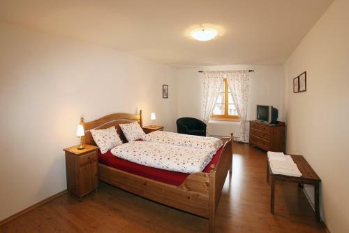 Hostal Penzion U Chodskeho Hradu