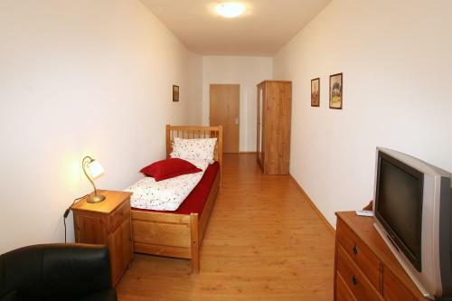 Hostal Penzion U Chodskeho Hradu