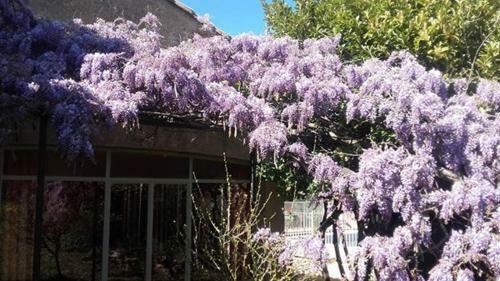 Hotel H�tel La Garrigue
