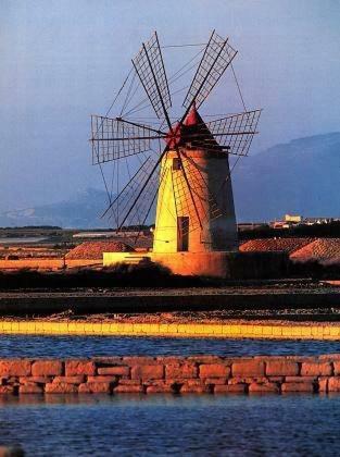 B&B Pacheco