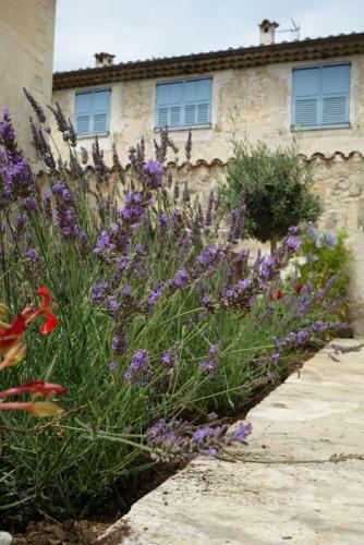 Apartamentos Le Jardin Du Village - Valbonne