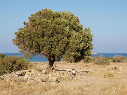 Hostal Hellas