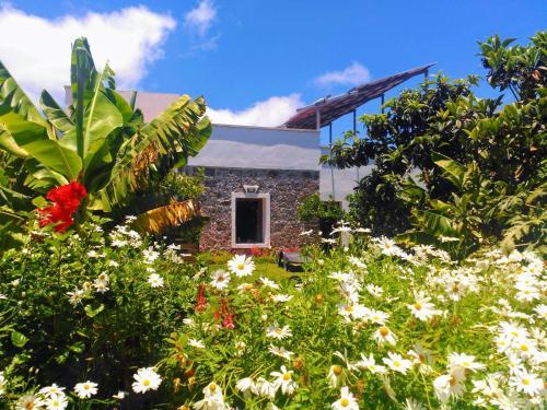 Agroturismo Villa Canaria