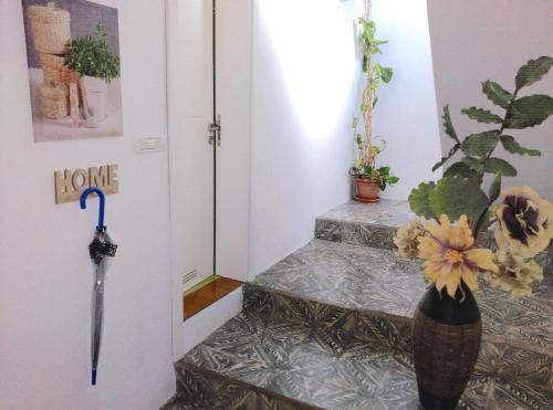 Agroturismo Villa Canaria