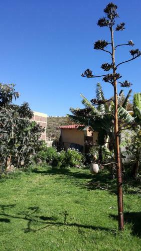 Agroturismo Villa Canaria