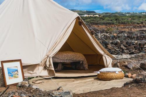 Albergue Twinfin Surf Camp