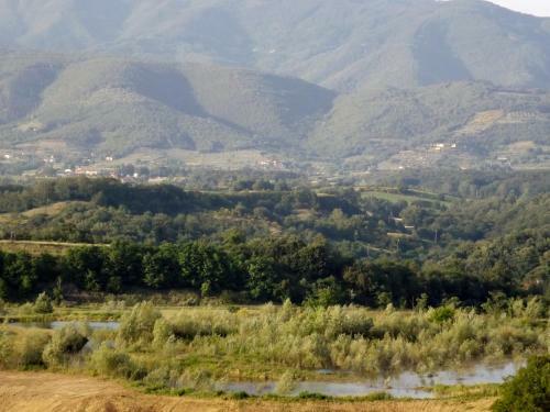 Agroturismo Tenuta I Lecci