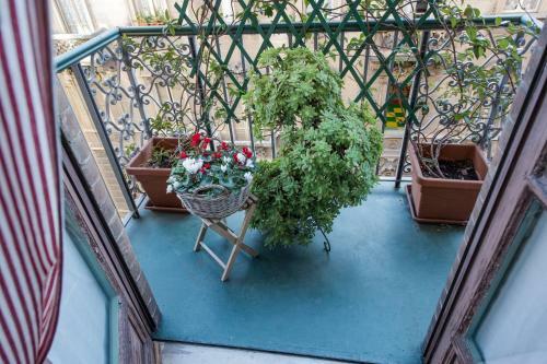 Bed & Breakfast Vivitorino