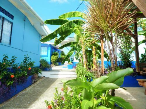 Hostal Miller's Guest House
