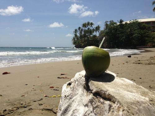 Blue Haven Hotel - Bacolet Bay - Tobago