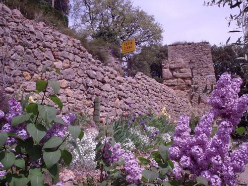 Agroturismo Il Portone Apartments