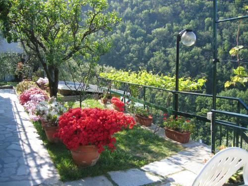 Agroturismo Agriturismo Cerisola 2003