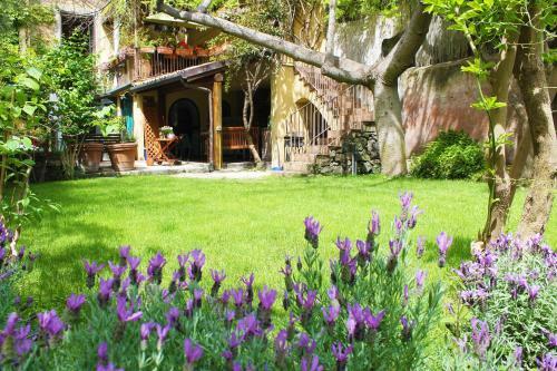 Bed & Breakfast Inn The Garden
