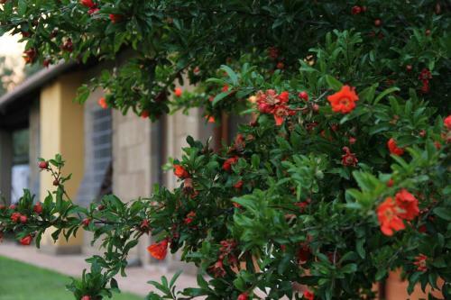 Bed & Breakfast Al Vecchio Fontanile